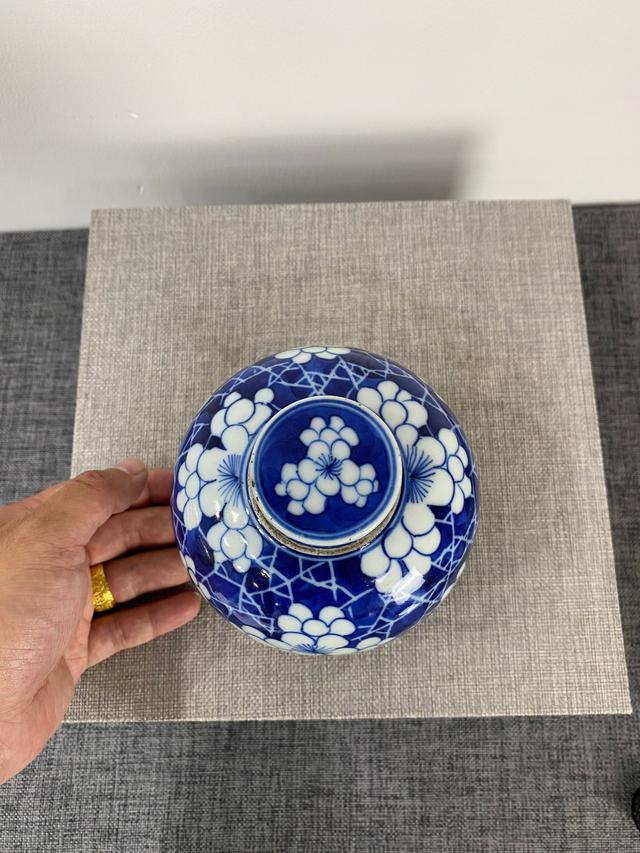 光绪|傲雪凌霜——清代各式冰梅瓷器赏析