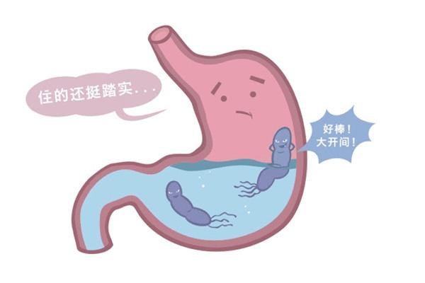 红枣|幽门螺杆菌不易消除？不妨多喝二水，常吃一物，灭细菌，养肠胃