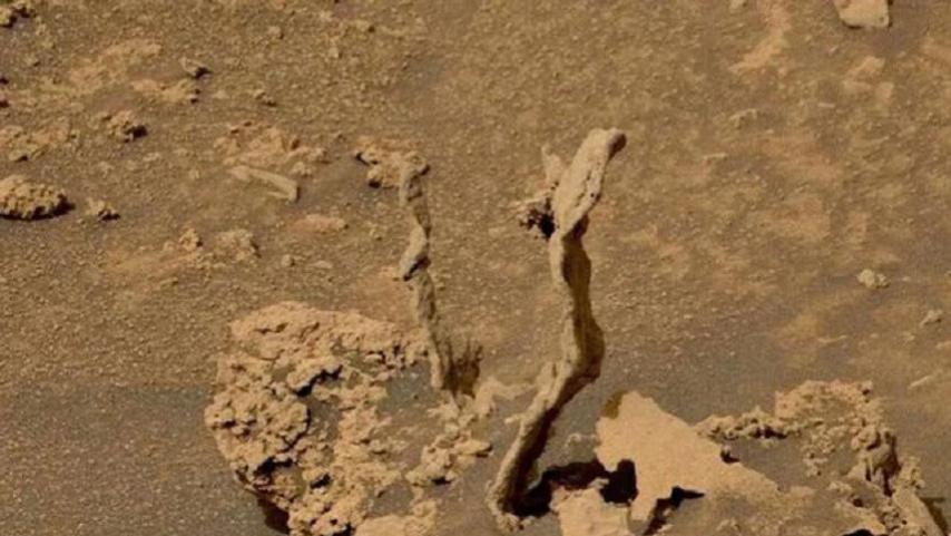 好奇号又立大功！在火星上发现一条“眼镜蛇”，竟存在了30多亿年
