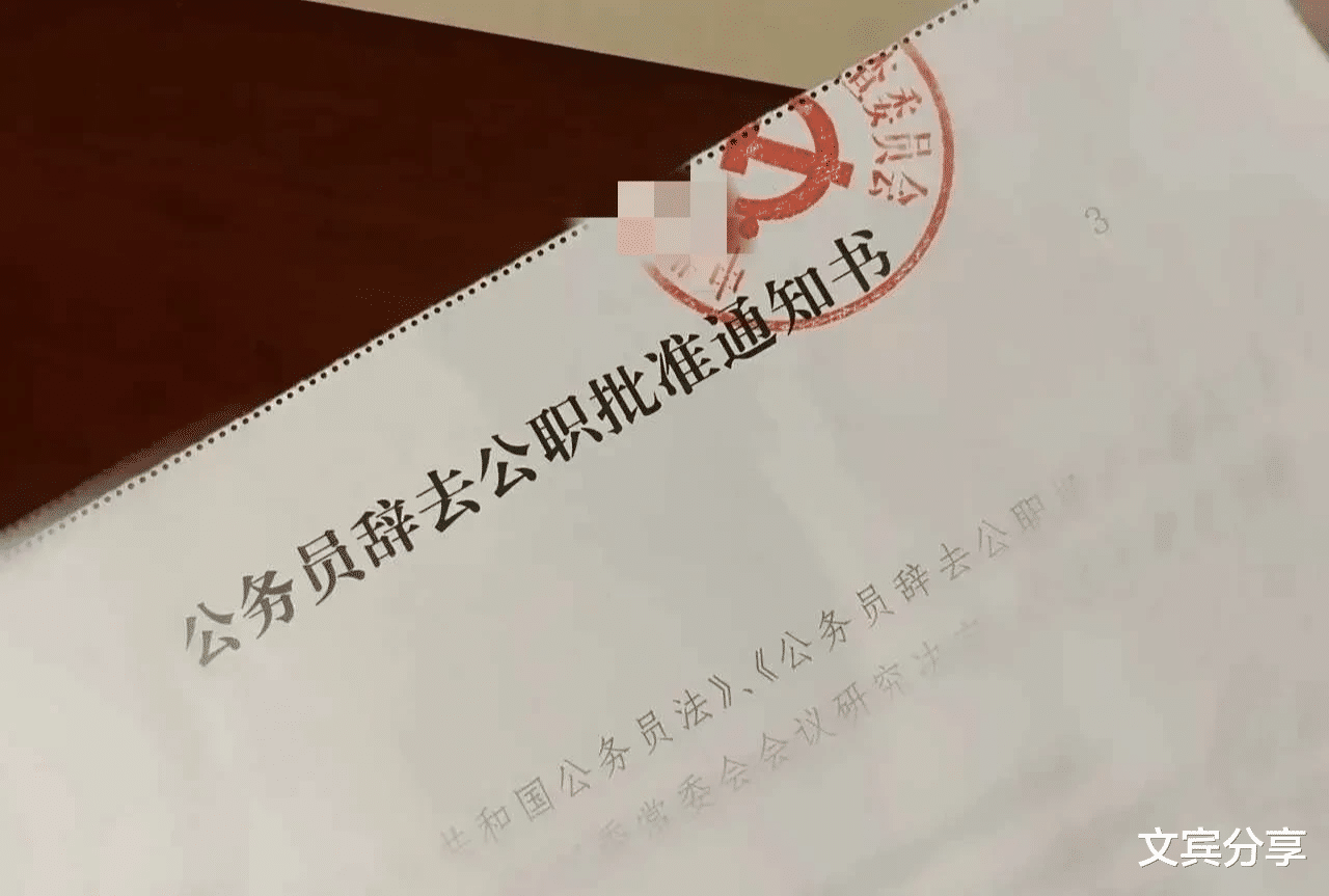 2022年尾辞去公职,愿心有所愿皆有所成!