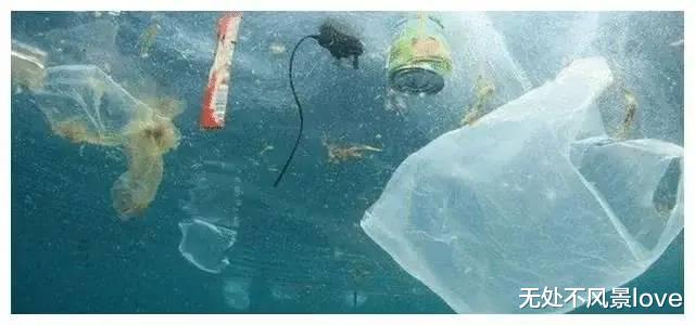 霍金预言又成真? 马里亚纳海沟发现不该存在的东西, 人类要重视