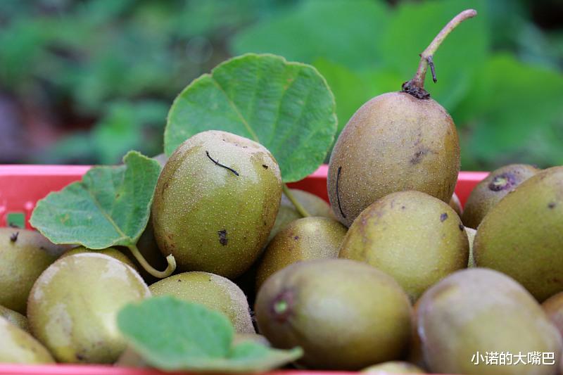 运动|脱发吃什么？常吃6菜6果，改善脱发，让发缝恢复浓密！