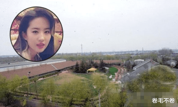 刘亦菲|“白富美”刘亦菲:背靠陈金飞身价百亿,却遭杨采钰碰瓷无人敢娶
