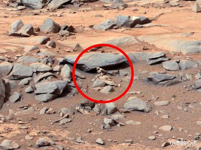 火星车很早就发现火星生命了？机遇号拍到“蜥蜴”，它究竟是何物