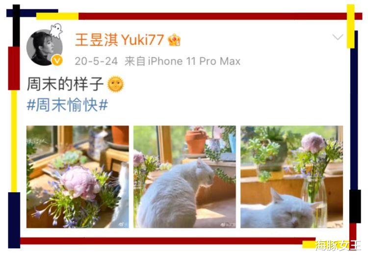 五竹|刀哥“唐小龙”的爆红,才是内娱影坛的“悲哀”