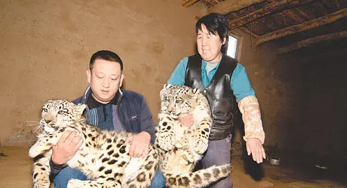 警察,我捡了一只国家二级保护野生动物