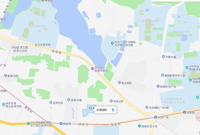 别墅|有钱任性?数十栋“东湖别墅”空置近10年,无人入住!