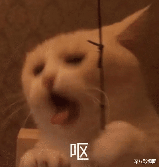 梦华录|你几岁了？怎么不早点穿呢，以后都不许给我脱下！