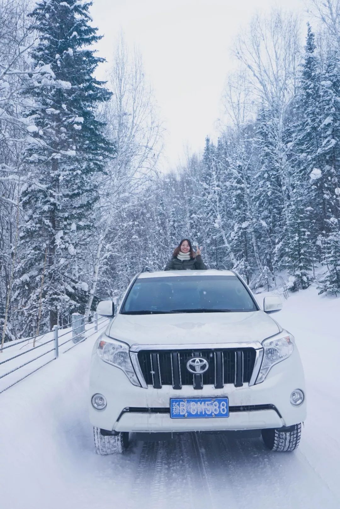 喀纳斯|喀纳斯,西北边境的原始小城,跨越千山万水,只为一刻的心灵悸动