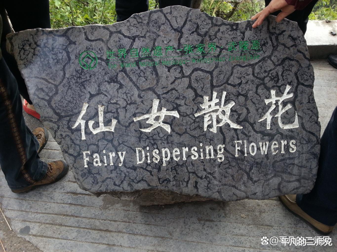 张家界|张家界的“奇山怪石”你看过多少？有人看过四处以上的吗？