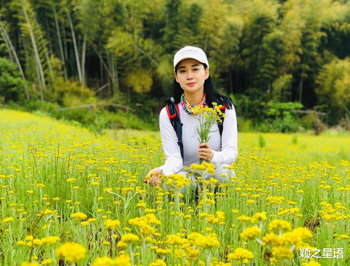 宁波|北仑春晓，野花成海，古道边金钱松吐翠