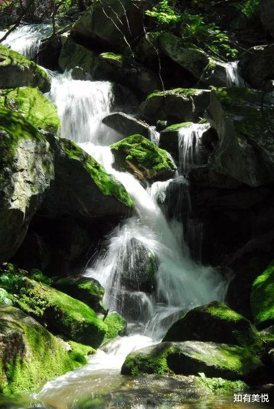 旅行|国内16个省级森林公园，城市的“绿色之肺”，你去过几个呢？