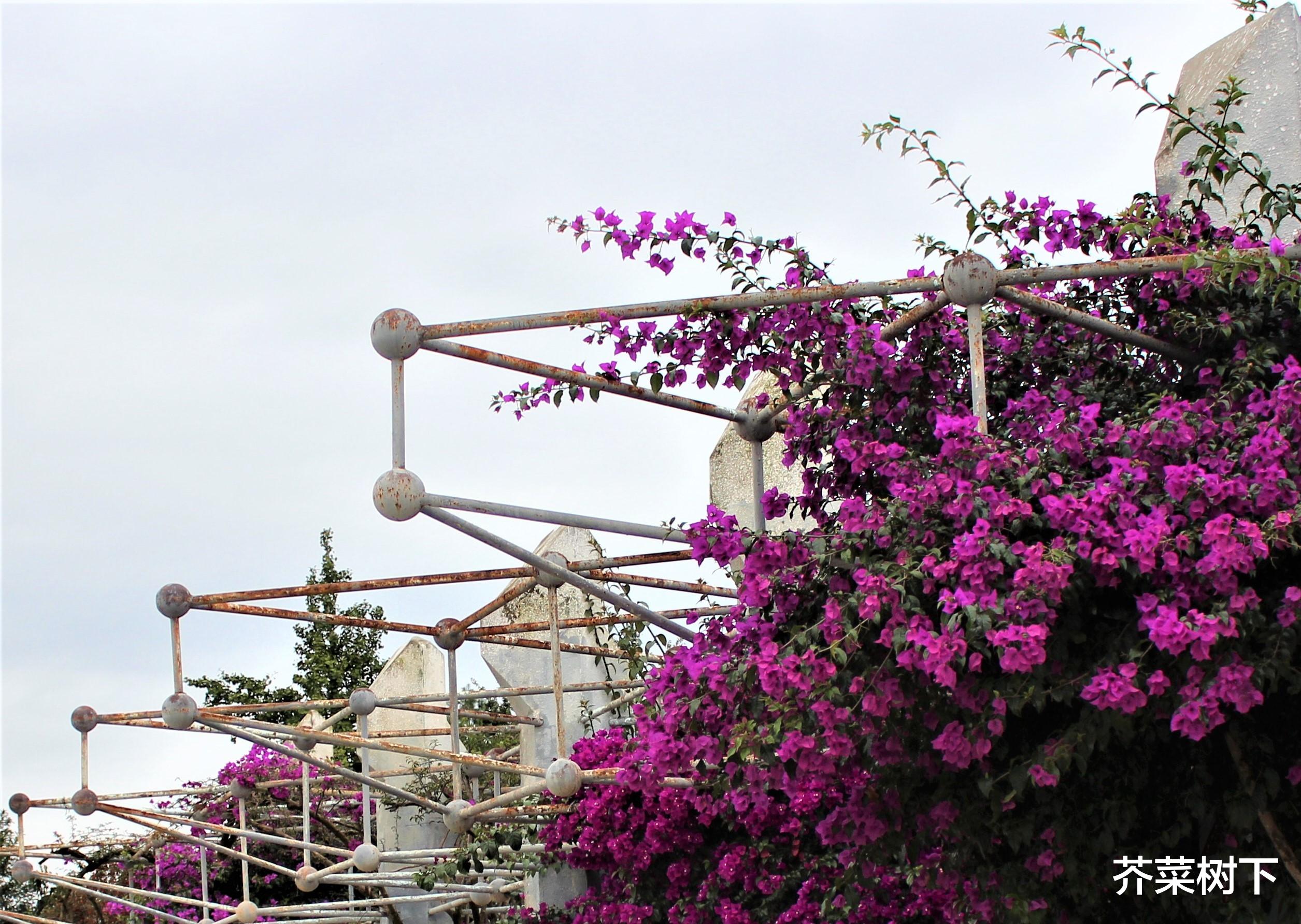 |职场,谁有指手画脚的资格?