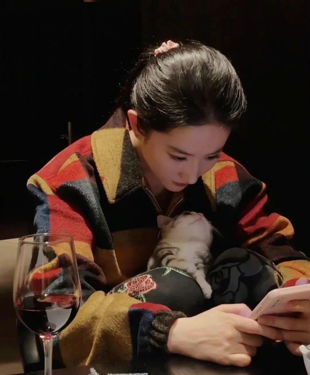 刘亦菲|神仙姐姐刘亦菲捡了11年流浪猫,如今她的千万豪宅里养了50只猫