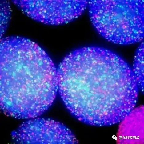 厨房海绵藏污纳垢,原因你知道吗?