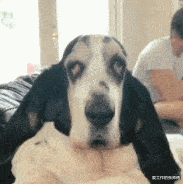 职业教育|“去领导办公室，看不懂的书法不要乱读，更不能笑！除非忍不住...”