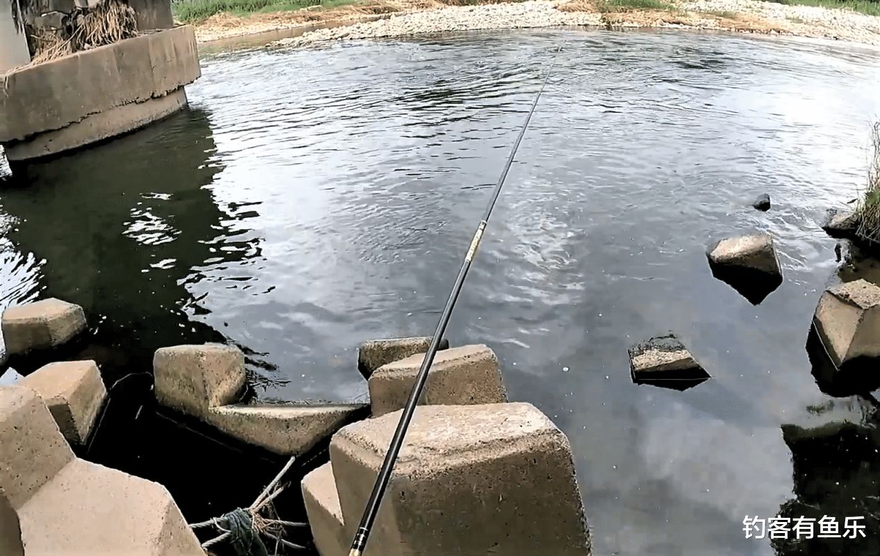 |夏季高温钓鱼,熟悉“三字诀”,选择“三宝地”,新手也连竿