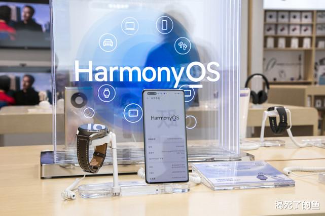 华为鸿蒙系统|“主动拥抱华为、接入鸿蒙系统”的国内手机厂商也不会多