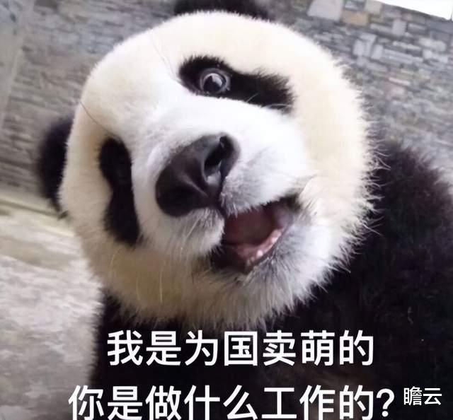 熊猫繁殖能力这么差,为什么不让它自然灭绝,还要给它人工授精?