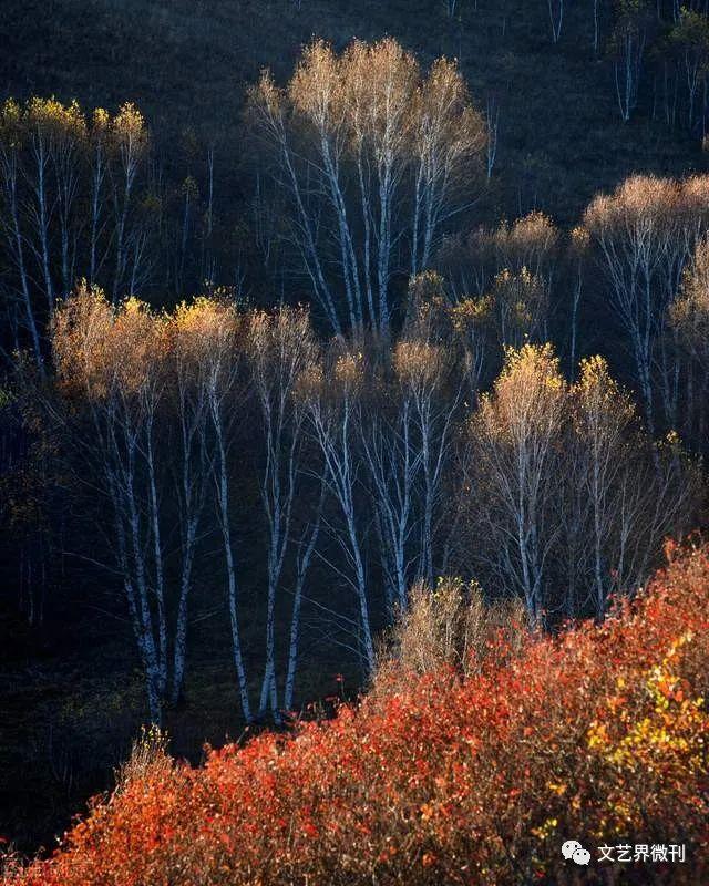 |郭进拴|绝美的坝上