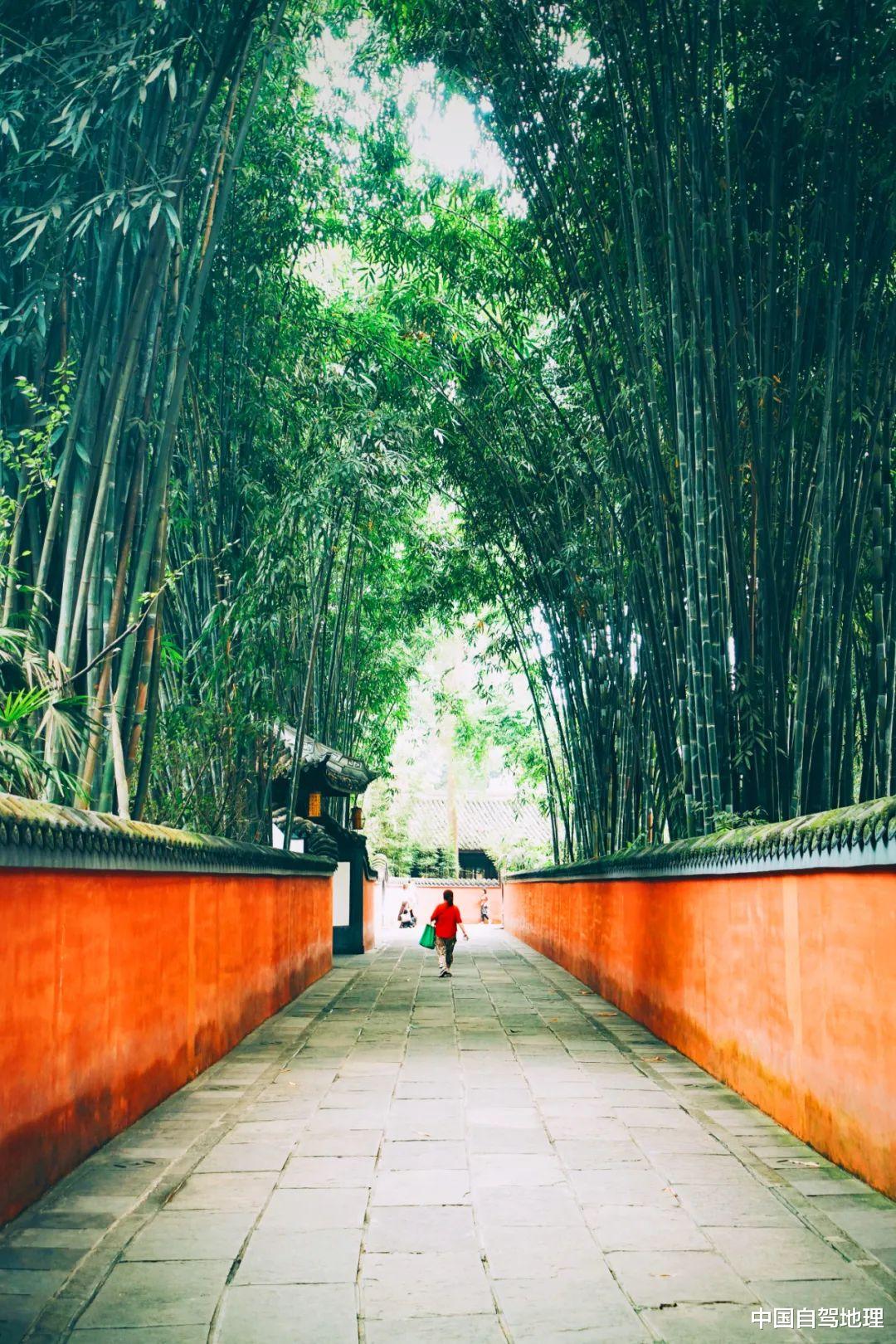 浙江省|中国最美梨花海，即将迎来最佳观赏期！这篇自驾攻略带你走起！|中国自驾地理