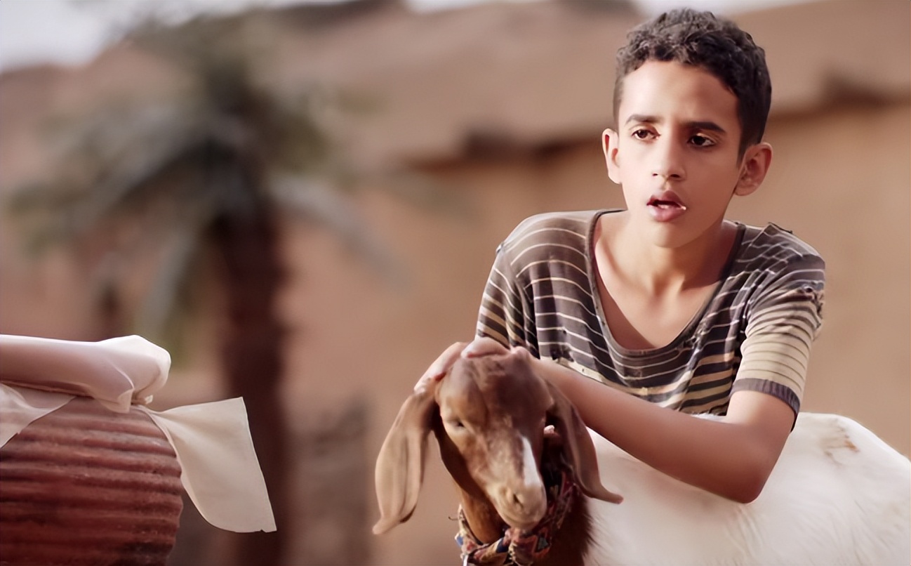 王凯|才播2集收视破1,王凯令观众成功入坑,四大卫视抓到王牌了