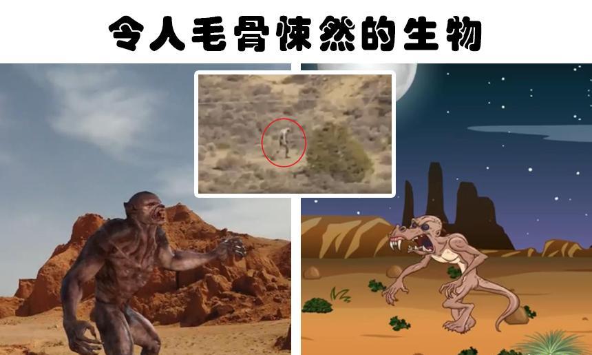 撒哈拉沙漠发现怪异的骷髅?在世界各地沙漠中获取的5个奇怪发现