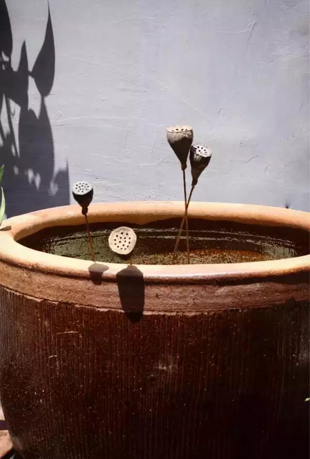 惊艳！美女仅花3500块，打造的出租屋竟媲美咖啡厅！