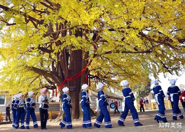 乌镇|国内10个精致的旅行地,真正的世外桃源,每一个都美得那么低调!