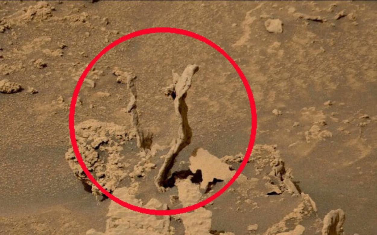 又有神秘物体被发现,火星表面某种东西像是正在发芽