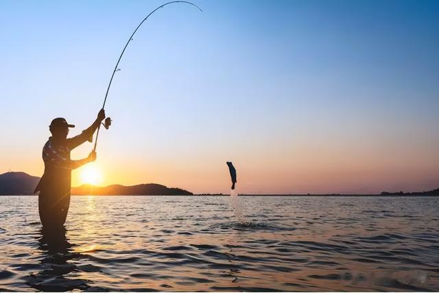 短视频|揭露“大师”钓鱼真相,别再相信短视频里的技巧了,学不来的