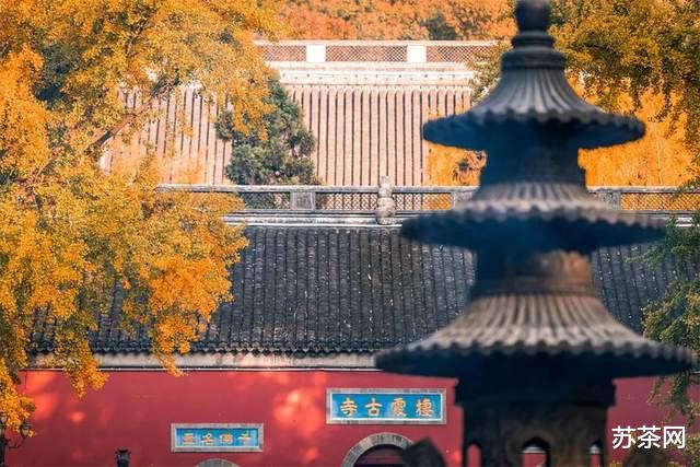 如何迅速拉近与江苏十三太保的距离(一句话激怒他们?)