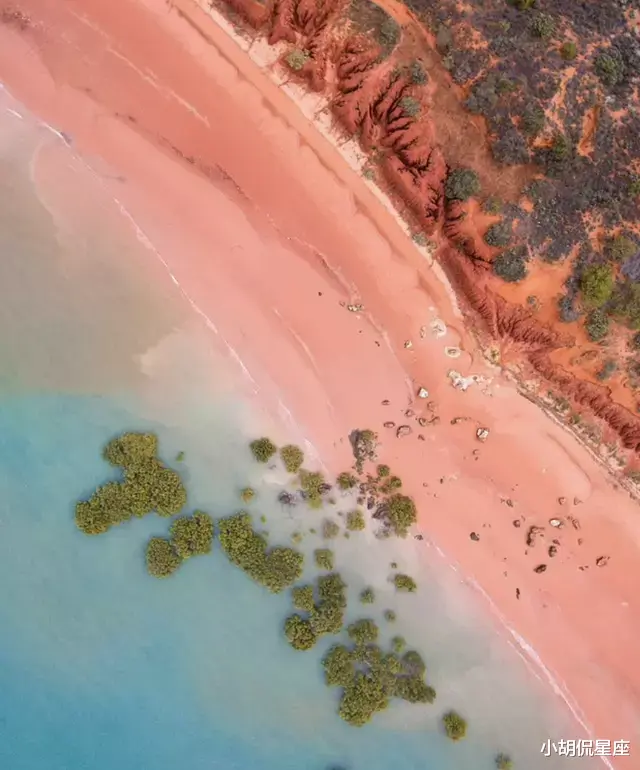 |澳洲小镇厨师薪资超10万！用工荒之下，西澳雇主的内卷开始了