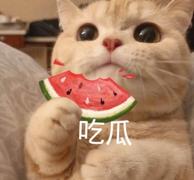 张庭|炸裂大瓜：张庭被曝逃税罚118亿，约等于14.75个金锁，8.7个薇娅