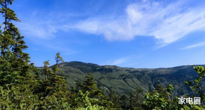 电子商务|这几年来总在寻找出路的家电经销商，活的怎么样？