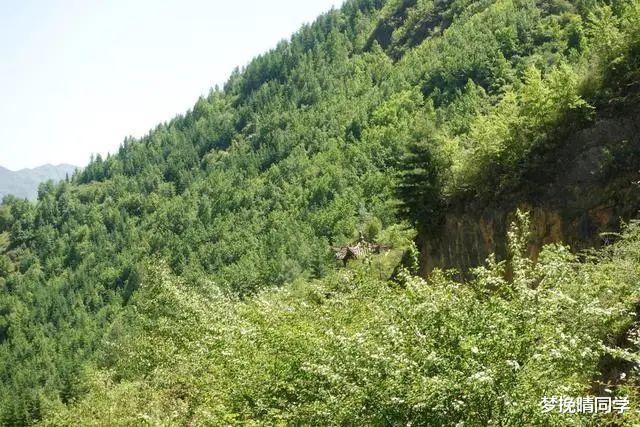甘肃|甘肃冷门避暑胜地：峡谷深处的世外桃源，被誉为“小崆峒”