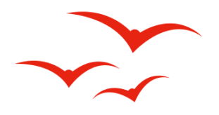 翡翠|小孩适合什么佩戴什么翡翠， 你送对了吗？