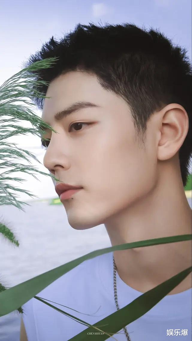 肖战|肖战时隔两年获227黑粉道歉，并非良心发现，而是肖战维权成功