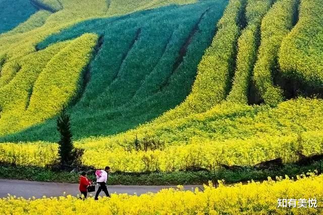 草原|盘点中国最美的5大峰林，立体的风景画，哪一个最让你心动?