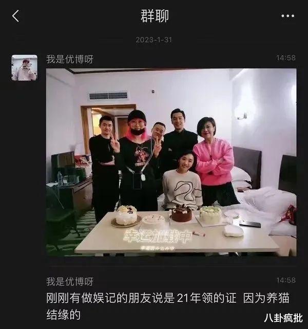 胡歌|胡歌与老婆因猫结缘！女方被曝光，五官清秀身材丰腴！