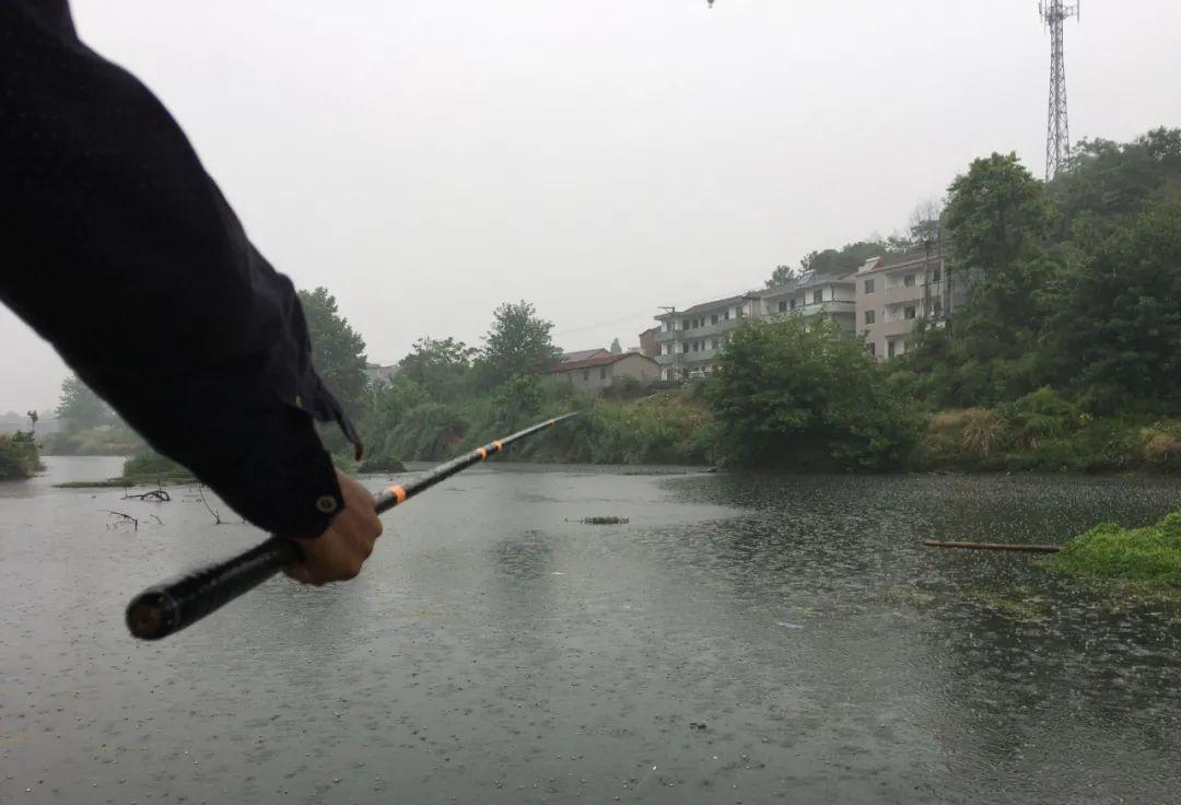 饵料|钓鱼还有公式吗？还真有，这5个公式很多钓鱼人一直都在用！