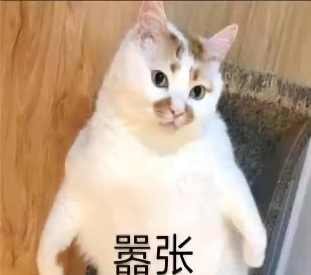 保安|九零后硕士打工人破防时刻：“发现小区保安工资六千，比我高”