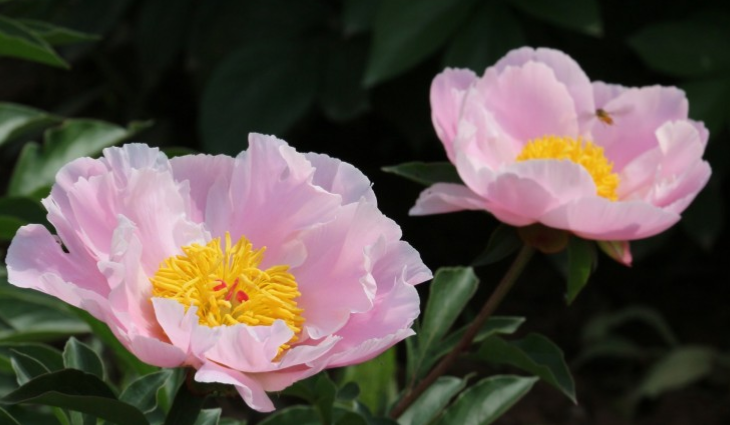 kanavi|一份工作，你如果下了班就不做了，最好就开始就不干这工作