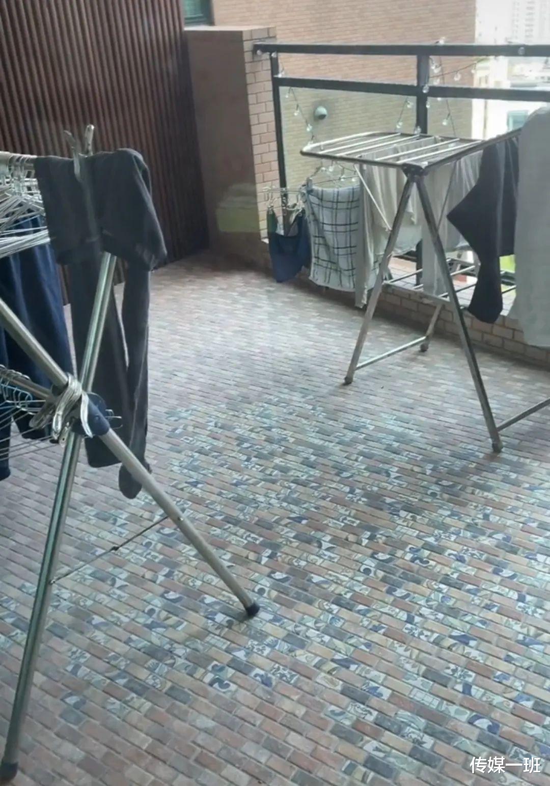 郭敬明|上海疫情下明星豪宅曝光：郭敬明刘嘉玲尽显奢华，罗中旭低调温馨