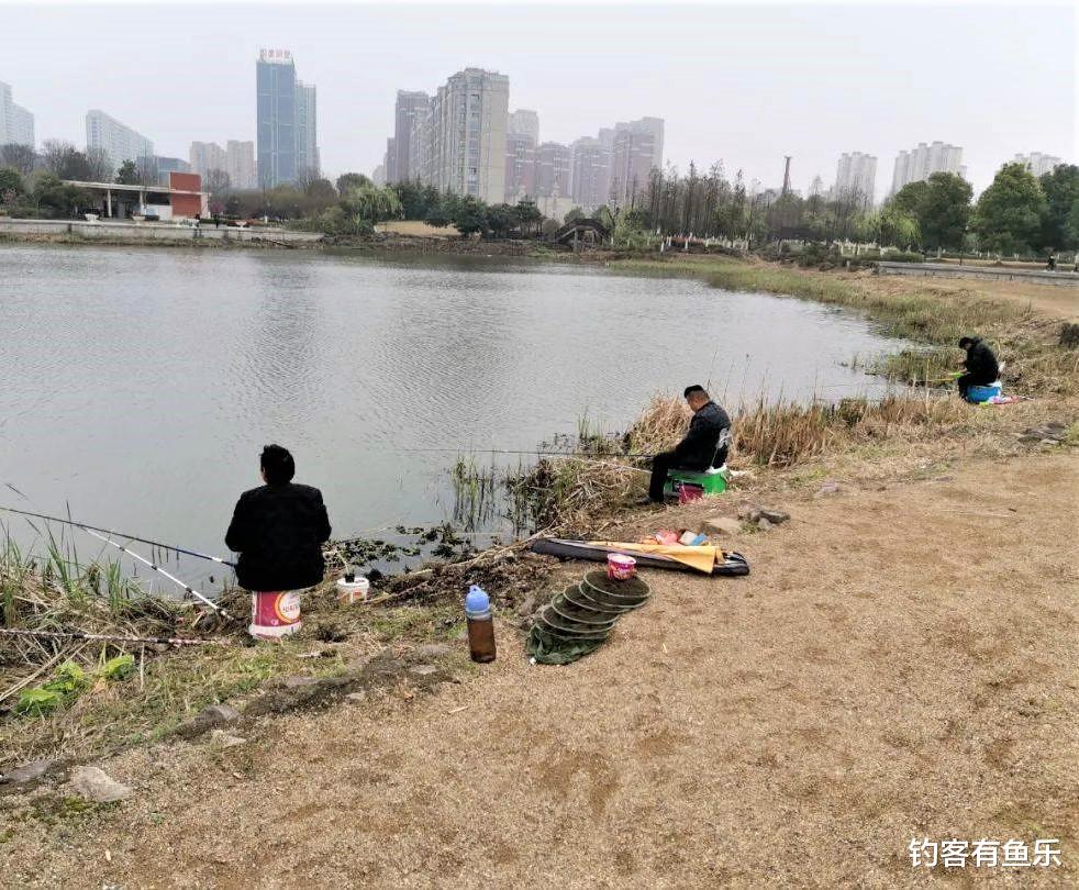 泥鳅|为什么水里有很多的鱼却不咬钩?这些原因没搞懂,想钓到鱼不容易