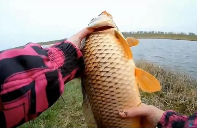 短视频|揭露“大师”钓鱼真相,别再相信短视频里的技巧了,学不来的