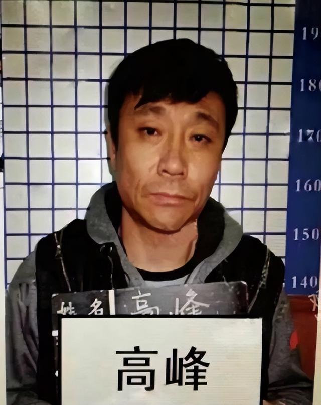 高峰|那英：爱上高峰是我的错，分手后嫁孟桐，幸福的背后有泪水