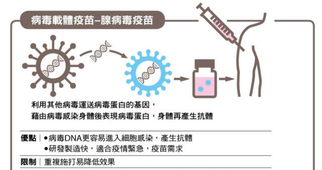 疫苗冷知识:人体注射疫苗后,体内是否就能产生抗体呢?