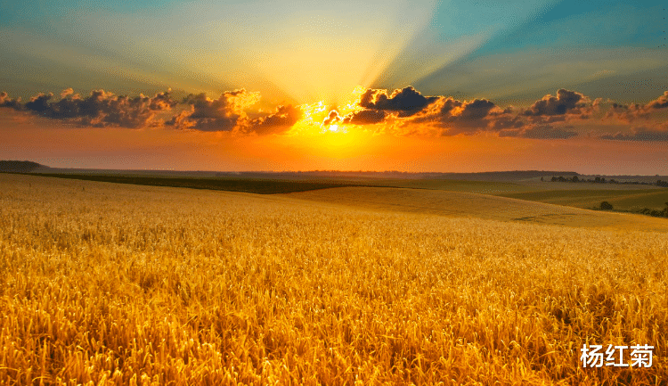 六安|事事顺心的3生肖,求职和创业均可高枕无忧!