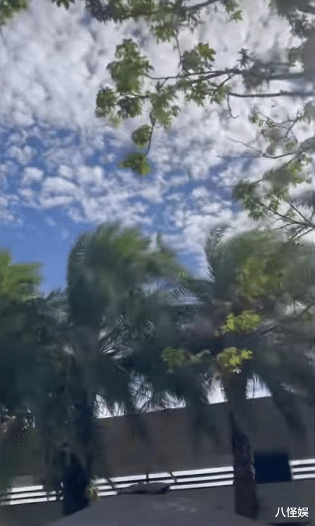 林志颖|林志颖再曝身体状况，自己趁着好天气散步晒太阳，开心发文心情好